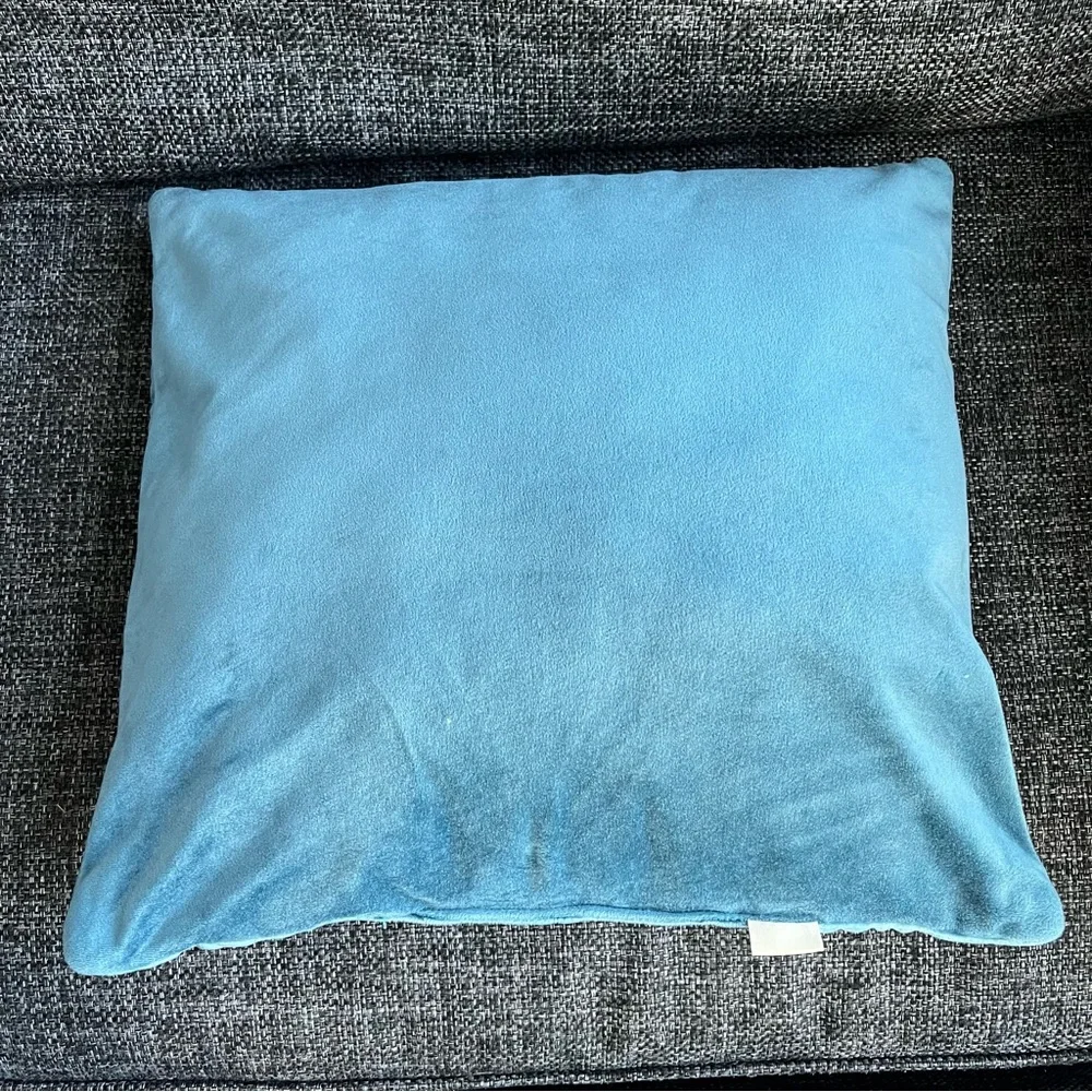 Pier 1 Imports Velvet Throw Pillows- set of 2